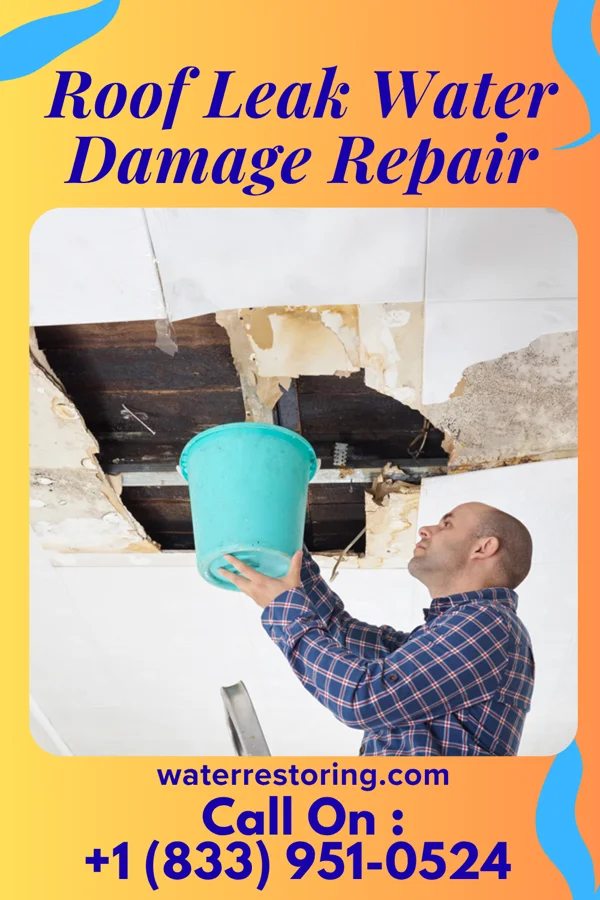 Roof Leak Water Damage Repair in Cedar City, UT